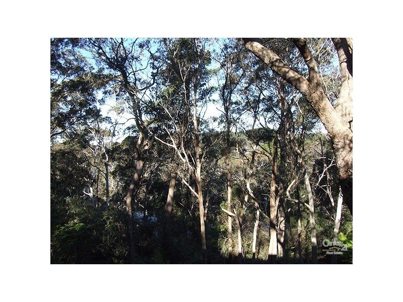 11 Lawrence St, Blackheath NSW 2785