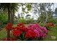 Blackheath NSW 2785