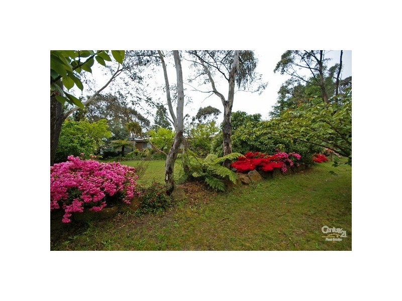 Blackheath NSW 2785