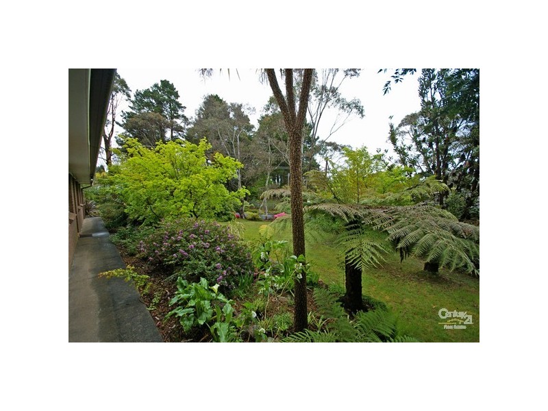 Blackheath NSW 2785