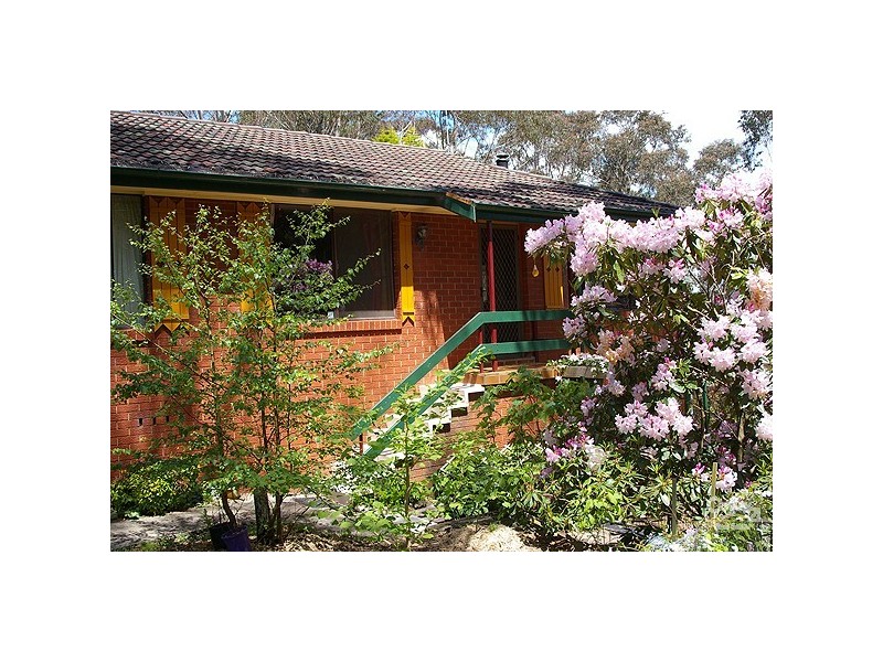 1 Belvidere Ave, Blackheath NSW 2785