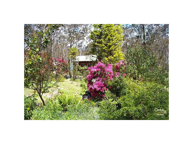 1 Belvidere Ave, Blackheath NSW 2785