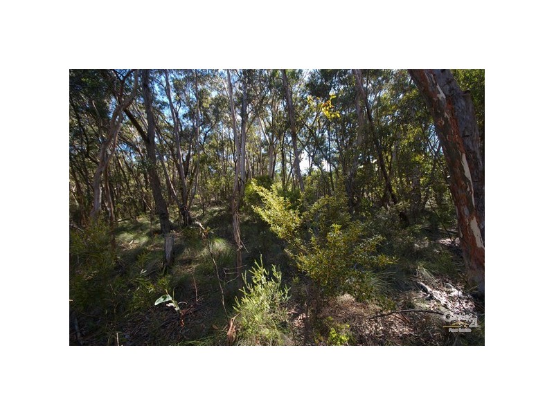 9 Balmoral Rd, Mount Victoria NSW 2786