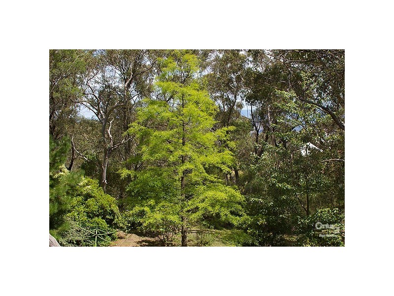 100 Victoria St, Mount Victoria NSW 2786