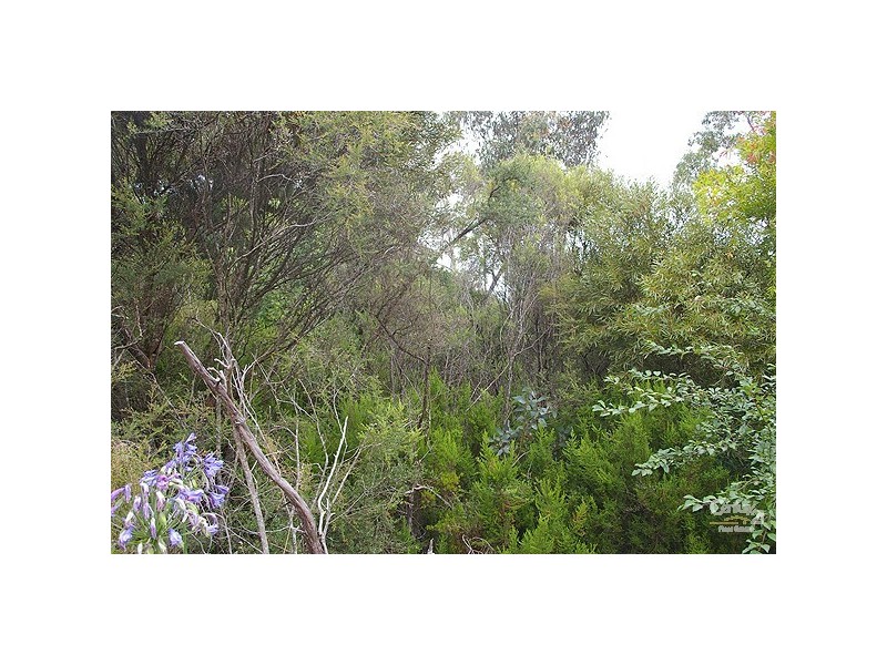 92 Victoria St, Mount Victoria NSW 2786