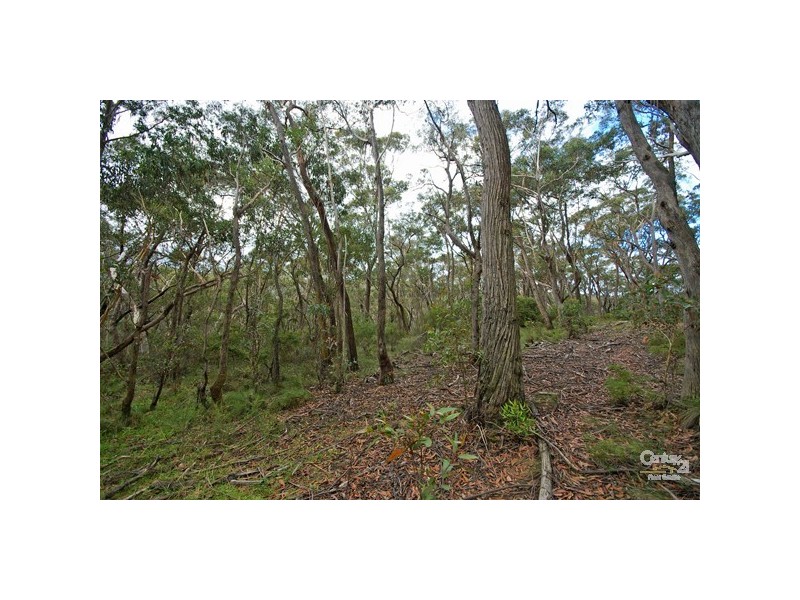 11 Balmoral Rd, Mount Victoria NSW 2786