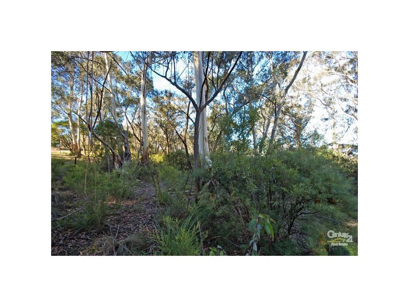 135 Victoria St, Mount Victoria NSW 2786