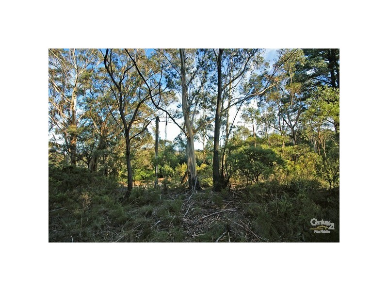 135 Victoria St, Mount Victoria NSW 2786