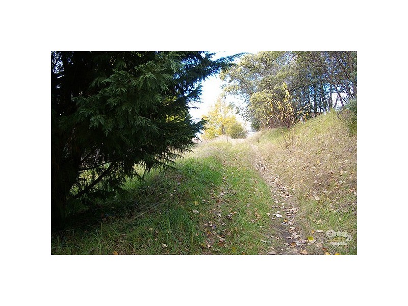 2a Whitton, Katoomba NSW 2780