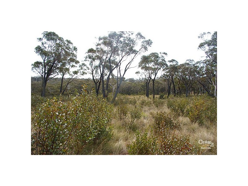 382-390 Darling Causeway, Bell NSW 2786