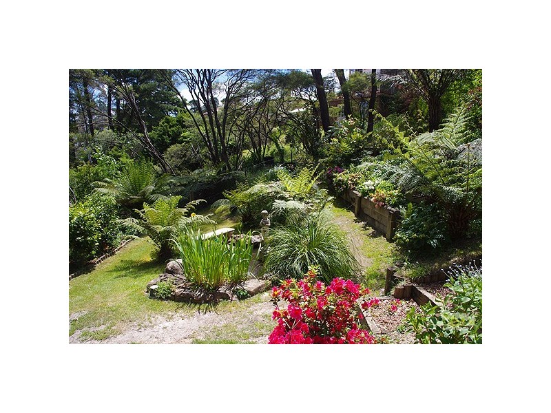 14 Bundarra St, Blackheath NSW 2785