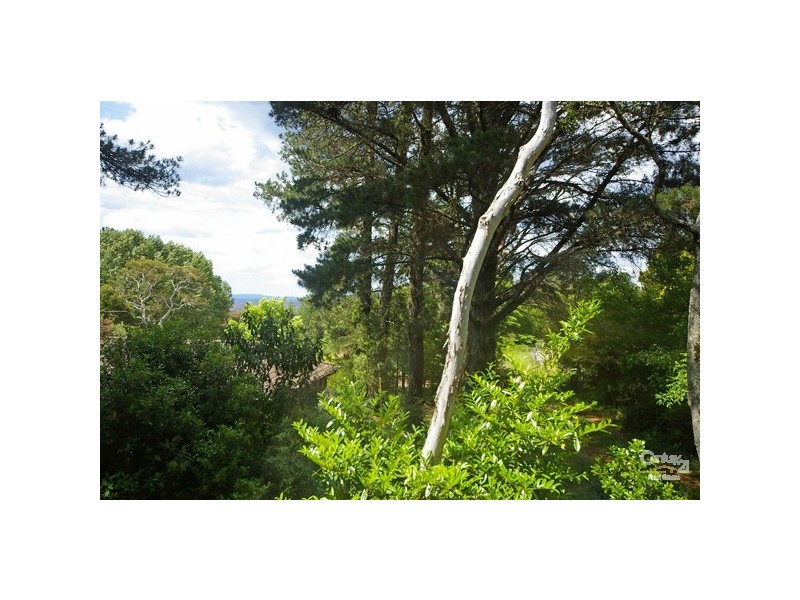 25 Inconstant St, Blackheath NSW 2785