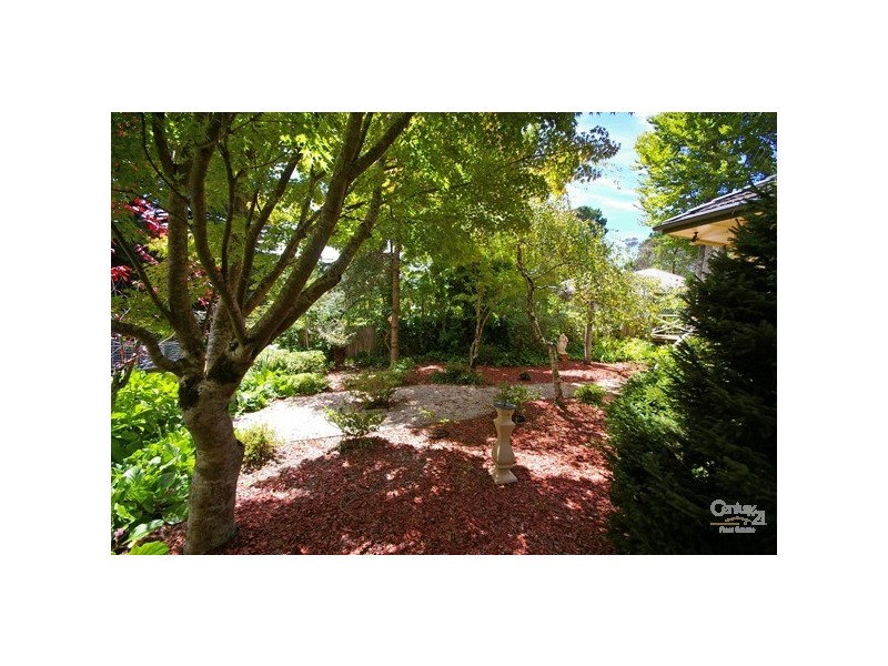 14 Mel Ave, Blackheath NSW 2785