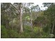 2 Carter Ln, Blackheath NSW 2785