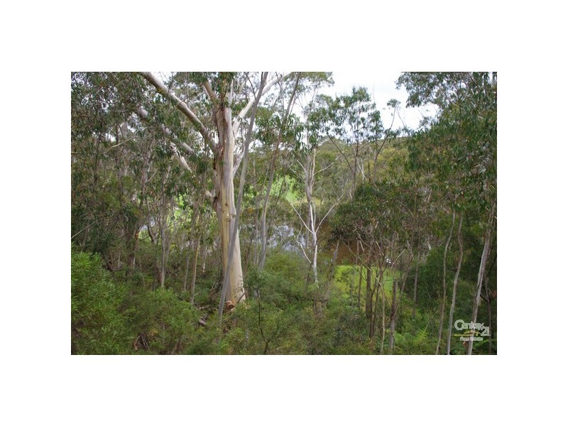 2 Carter Ln, Blackheath NSW 2785
