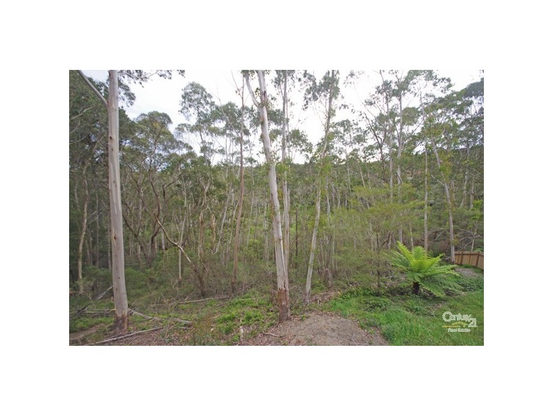 2 Carter Ln, Blackheath NSW 2785