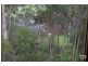 2 Carter Ln, Blackheath NSW 2785