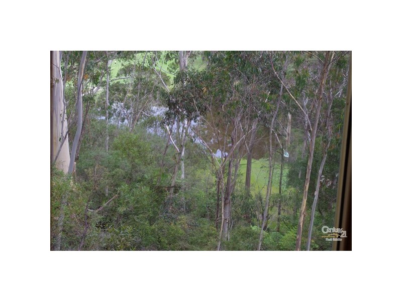 2 Carter Ln, Blackheath NSW 2785