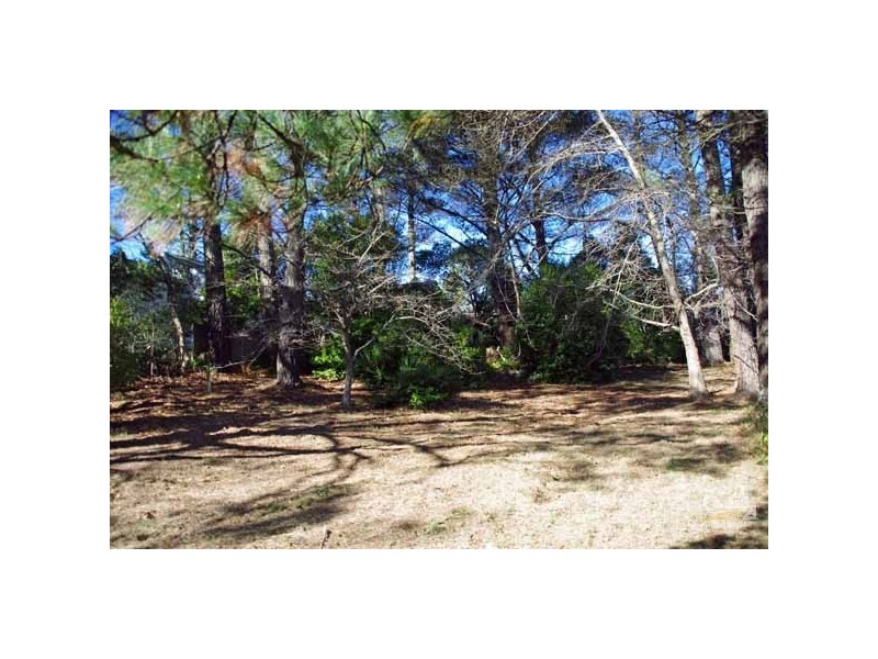 4 Wombat St, Blackheath NSW 2785