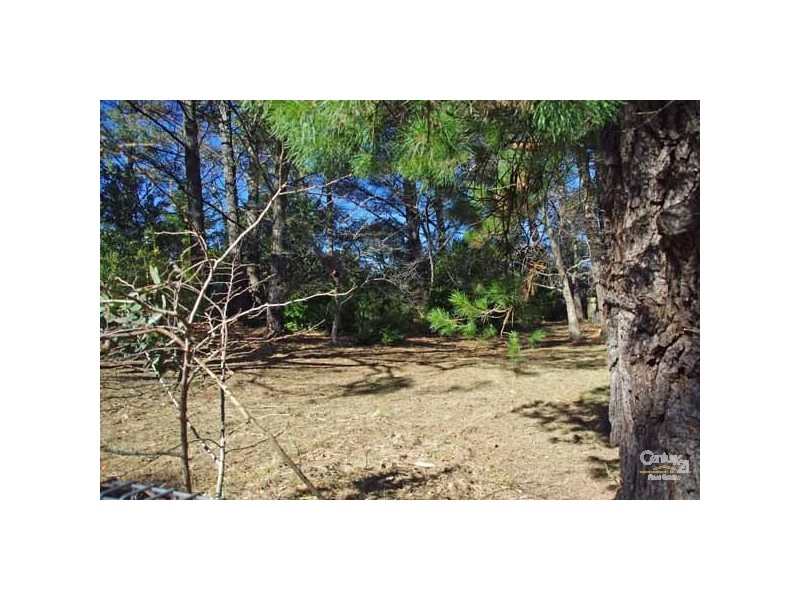 4 Wombat St, Blackheath NSW 2785