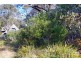 219 Connaught Rd, Blackheath NSW 2785