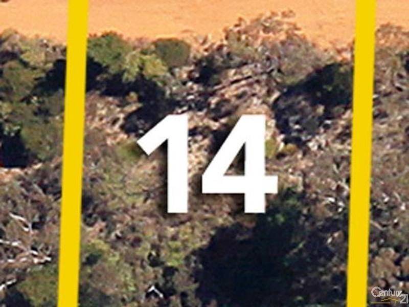 LOT 14 244-318 Hat Hill rd, Blackheath NSW 2785