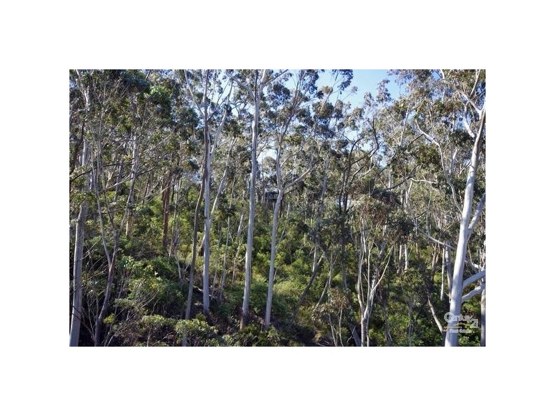 Mount Victoria NSW 2786