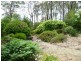Blackheath NSW 2785