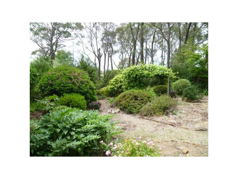 Blackheath NSW 2785