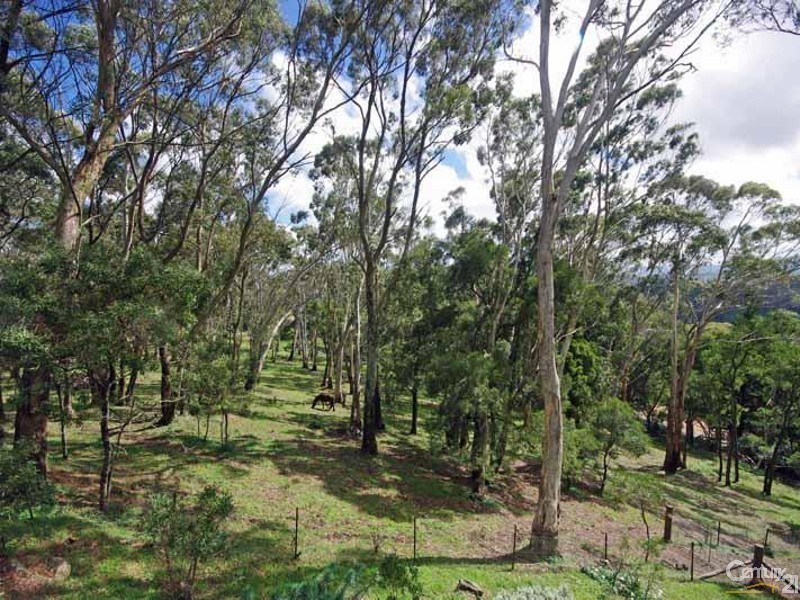 Lot 1 Jenolan Caves Rd, Hampton NSW 2790
