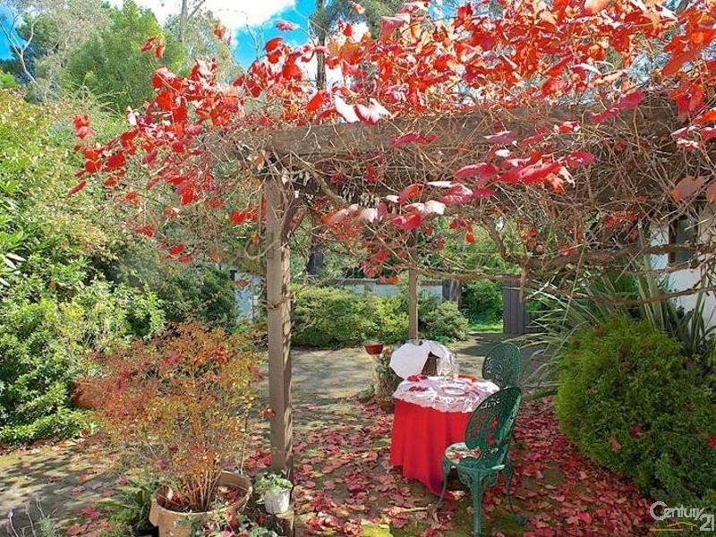 244 Govetts Leap Rd, Blackheath NSW 2785