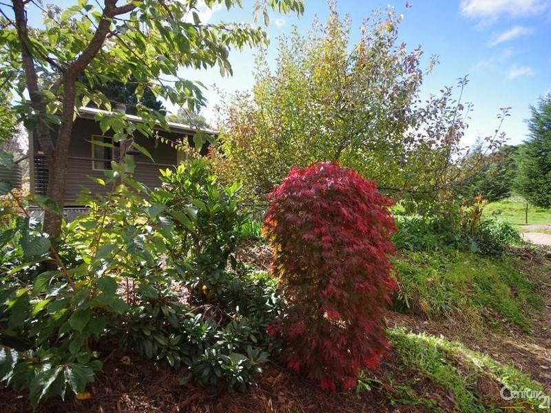 57a Great Western Hwy, Mount Victoria NSW 2786