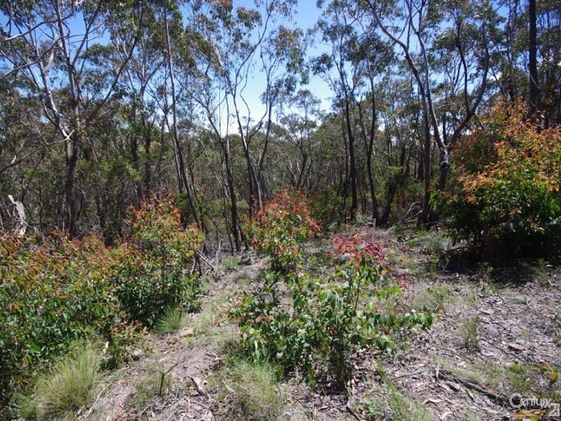 64 Explorers rd, Katoomba NSW 2780