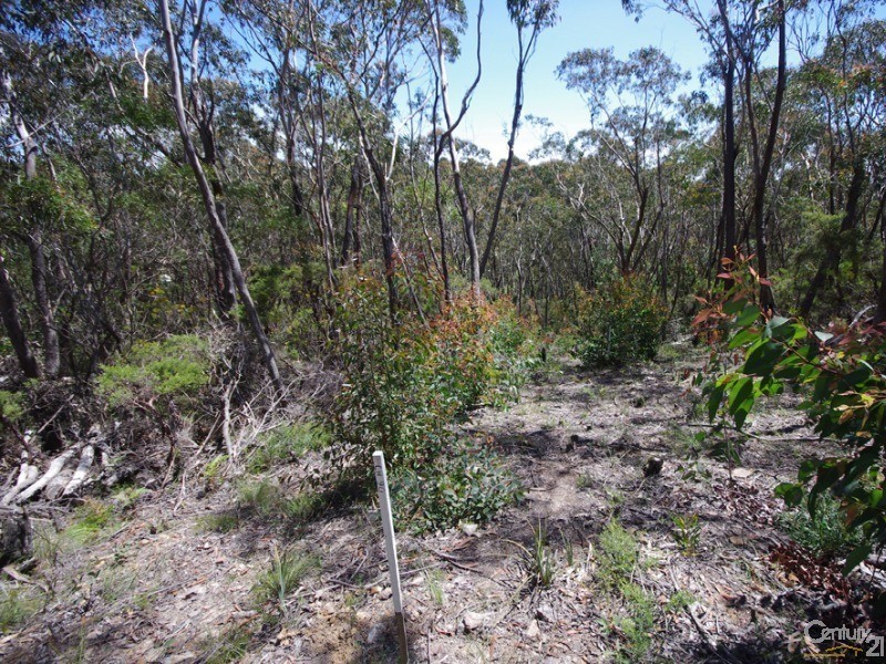 64 Explorers rd, Katoomba NSW 2780