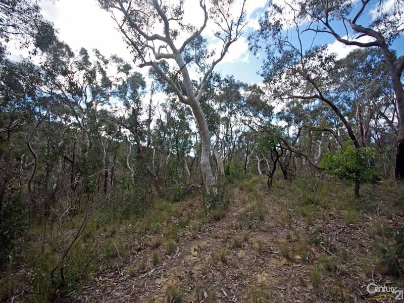 19 Nioka Place, Bell NSW 2786