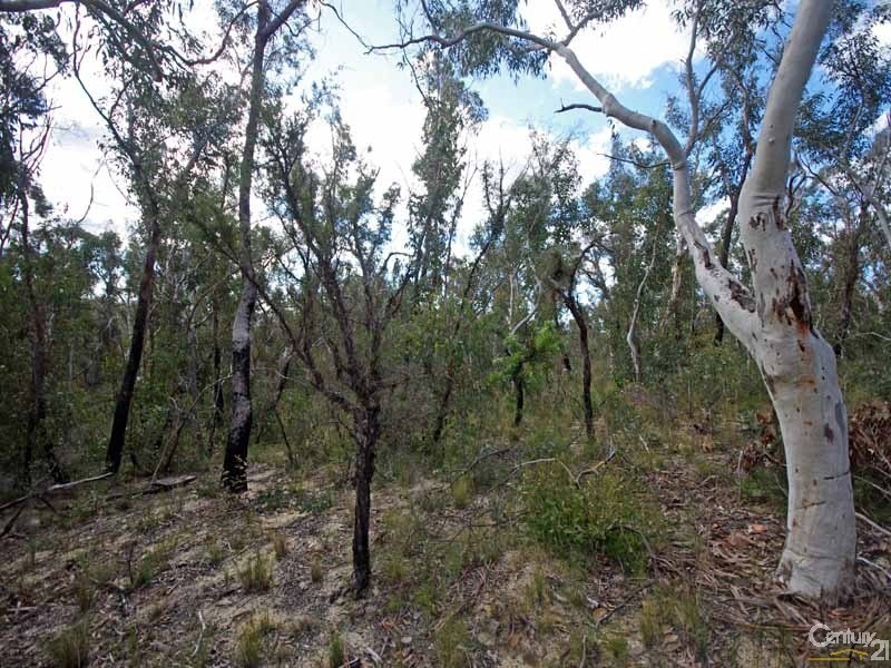 19 Nioka Place, Bell NSW 2786