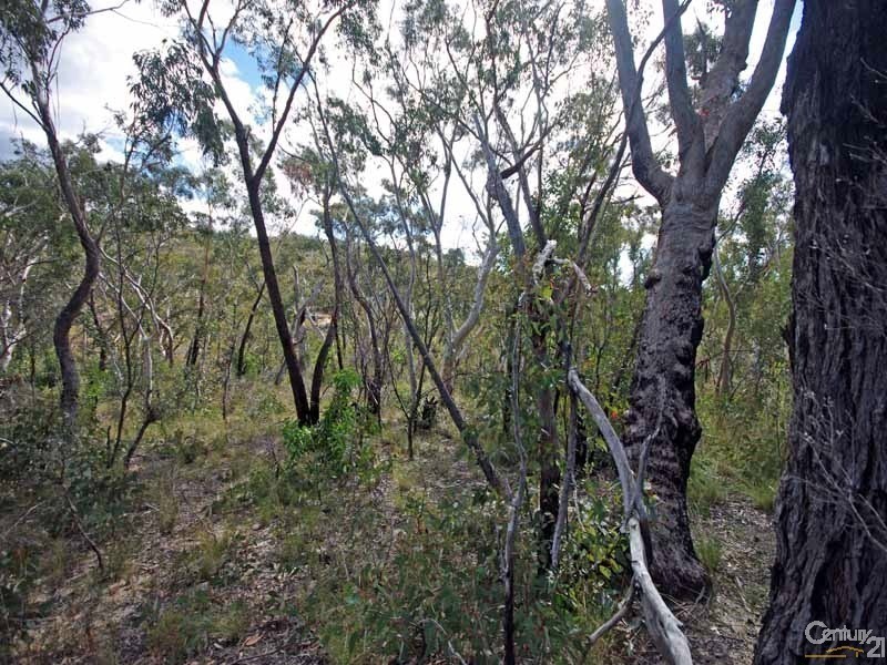 19 Nioka Place, Bell NSW 2786