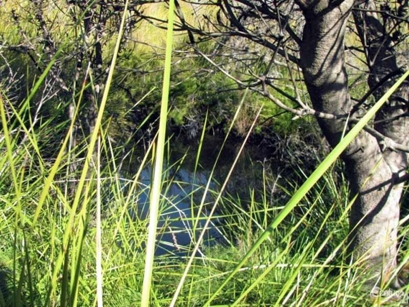 19 Nioka Place, Bell NSW 2786