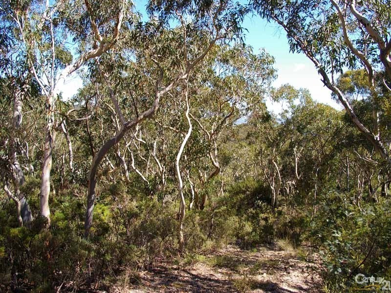 93 Old Shipley Rd, Blackheath NSW 2785