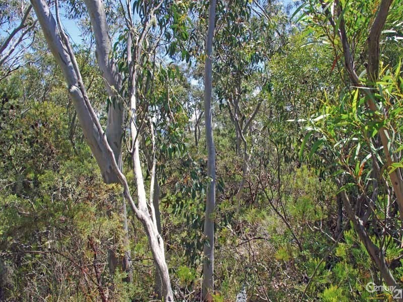 93 Old Shipley Rd, Blackheath NSW 2785