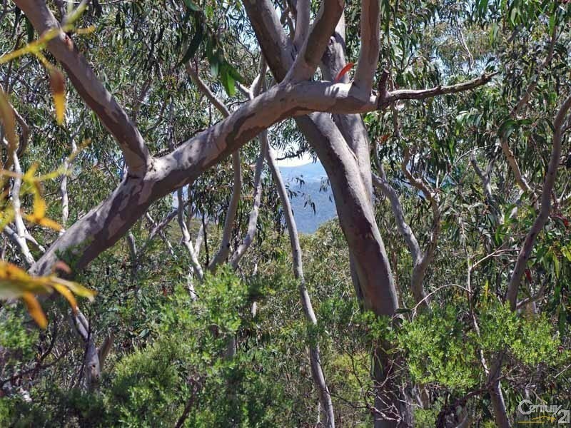 93 Old Shipley Rd, Blackheath NSW 2785