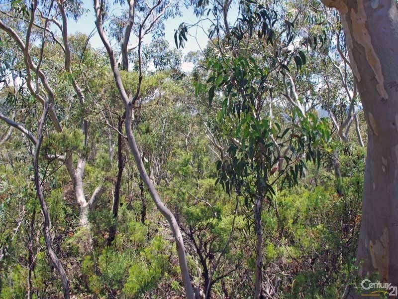 93 Old Shipley Rd, Blackheath NSW 2785