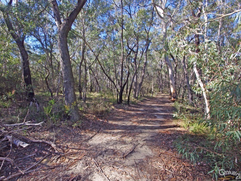 102 Mount York Rd, Mount Victoria NSW 2786