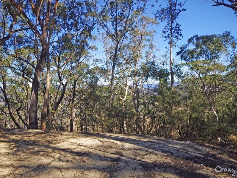 102 Mount York Rd, Mount Victoria NSW 2786