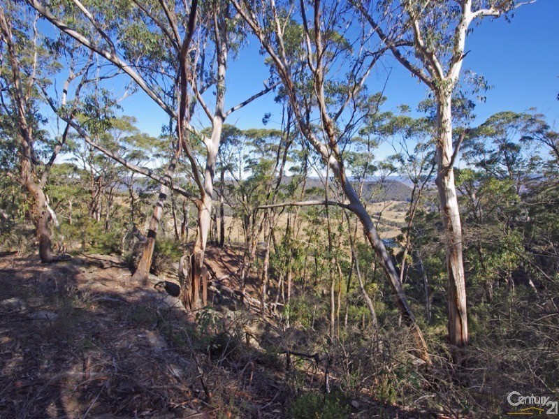 102 Mount York Rd, Mount Victoria NSW 2786