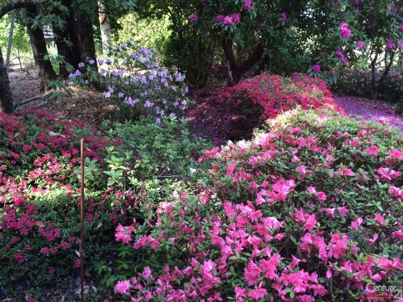 2-4 Linkview Ave, Blackheath NSW 2785