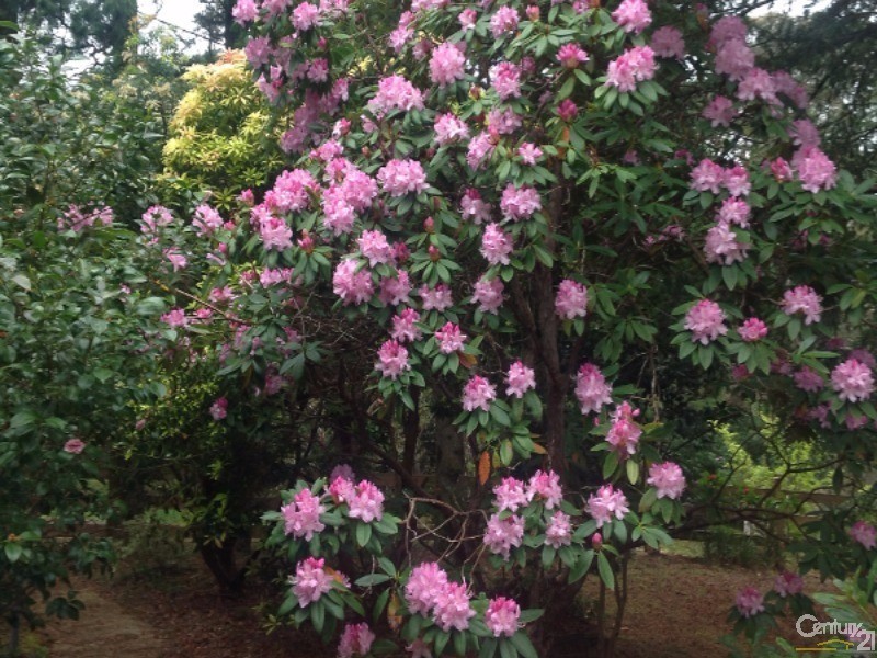 2-4 Linkview Ave, Blackheath NSW 2785