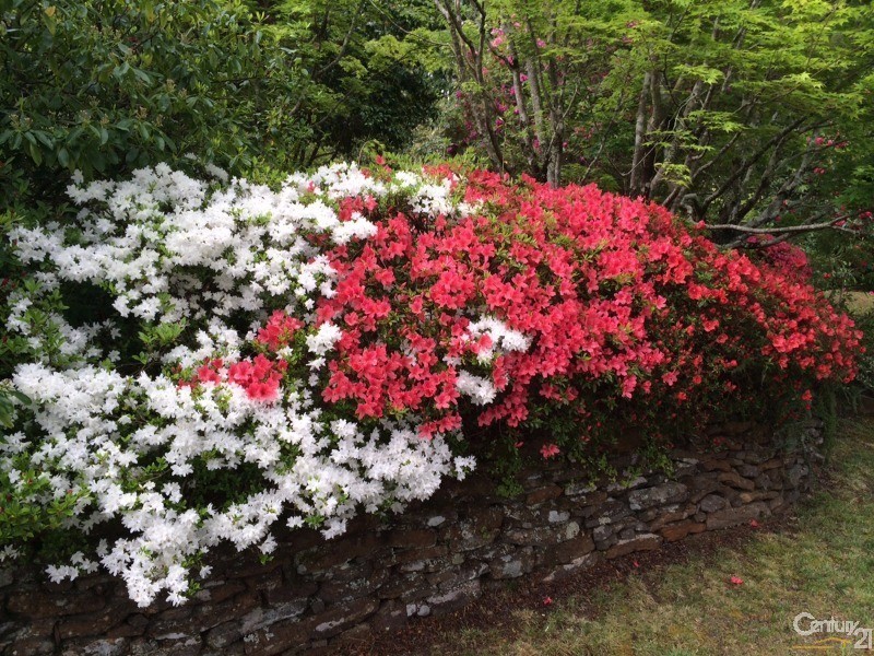 2-4 Linkview Ave, Blackheath NSW 2785