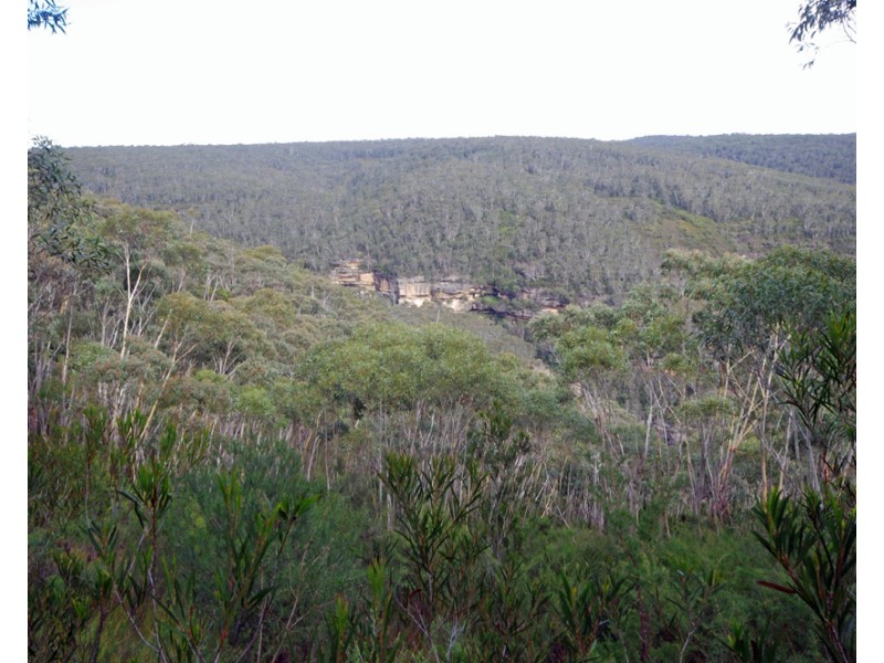 305-323 Evans Lookout Rd, Blackheath NSW 2785