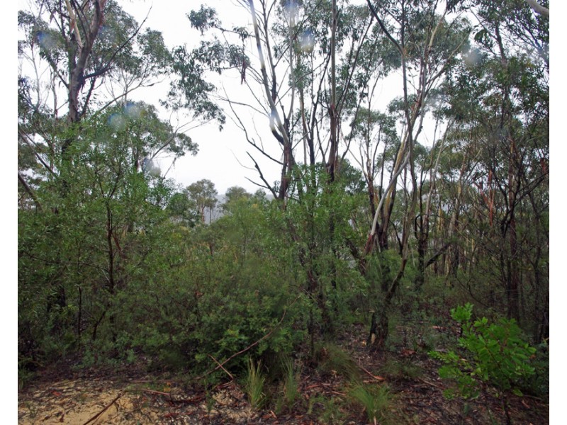 305-323 Evans Lookout Rd, Blackheath NSW 2785